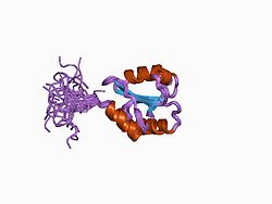 Protein disulfide isomerases