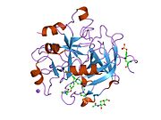 PDB 1d3q EBI.jpg