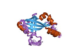 PDB 1ilf EBI.jpg