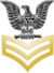 Collar PO1.png