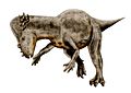 ᏍᏓᏯ ᎠᏍᎪᎵ ᏘᏲᎭᎵ ᎡᏆ Pachycephalosaurus wyomingensis