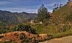 Paysage de café rural dans le village d'El Sauce, à San Isidro