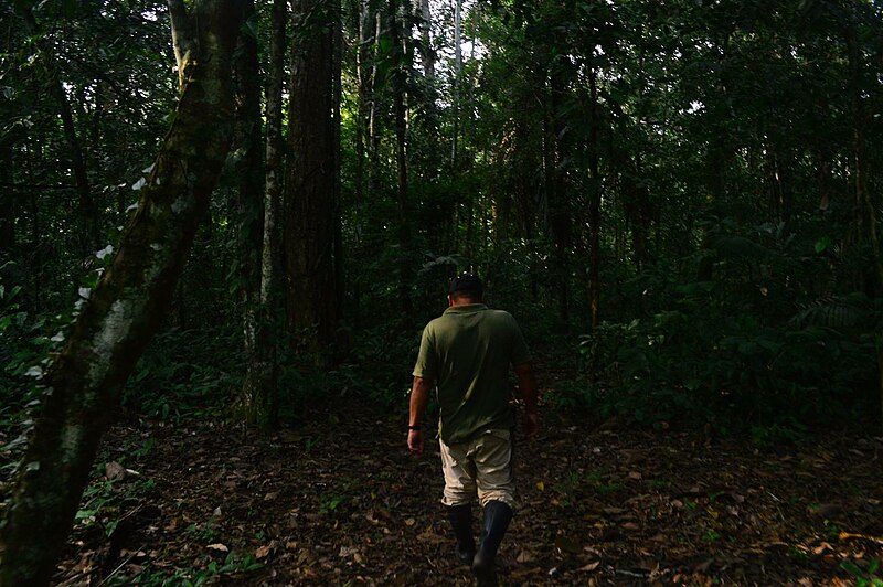 File:Parque Nacional Madidi 3.jpg