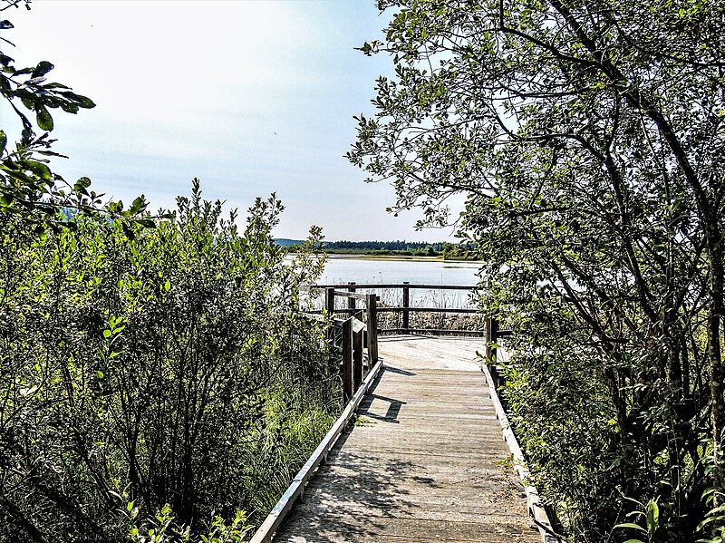 File:Passerelle d'accès au lac de Bouverans.jpg