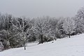 * Nomination Trees covered with rime near Pernegg, Lower Austria --Uoaei1 04:55, 24 February 2017 (UTC) * Promotion Good quality. -- Johann Jaritz 05:33, 24 February 2017 (UTC)