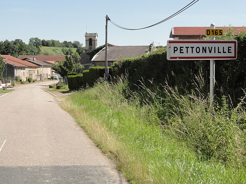 File:Pettonville (M-et-M) city limit sign.jpg