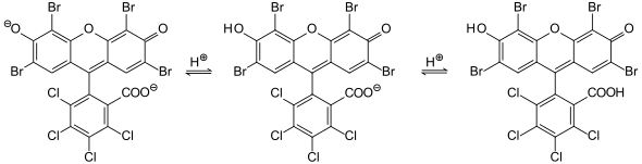 Gleichgewicht von Phloxin (Dianion) in wässriger Lösung