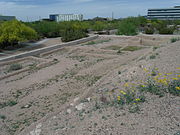 Phoenix-Pueblo Grande Ruin-Hohokam Village-2.JPG