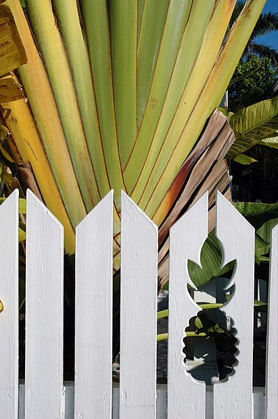 File:Pineapple fence (65982352).jpg