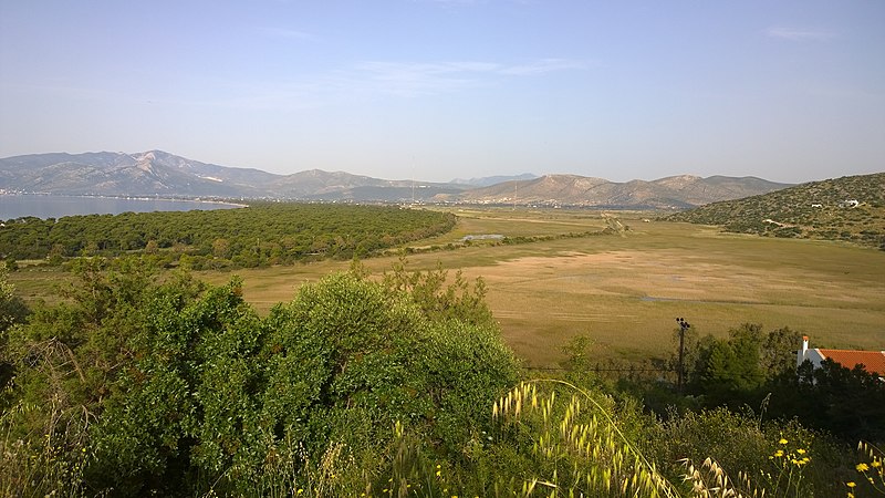 File:Plain of Marathon with Pine Forest and Wetlands, May 2015 - panoramio.jpg
