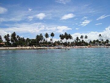 Porto de Galinhas, view from a boat. Porto de galinhas 67.jpg