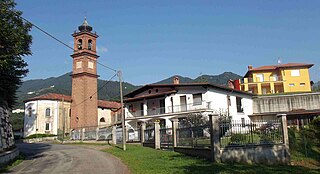Portula Comune in Piedmont, Italy