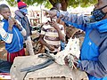 Poultry_market_in_Northern_Ghana_01