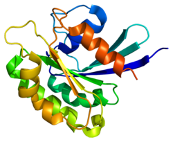 Ақуыз ARL8B PDB 1zd9.png