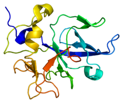 Ақуыз SCYE1 PDB 1e7z.png