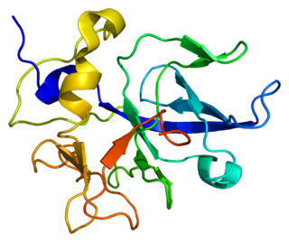 <span class="mw-page-title-main">SCYE1</span> Protein-coding gene in the species Homo sapiens