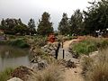 Pump installed on the eastern end of the Wollundry Lagoon to reduce the level, since the flood gates were shut due to the Murrumbidgee River being in flood, to allow more storm water to enter the lagoon rather than backing up the storm water system.