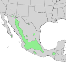 Mapa rozsahu Quercus rugosa 1.png