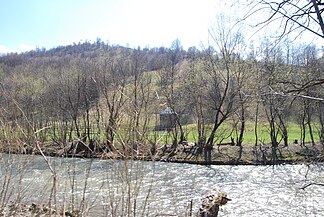 Râul Vișeu