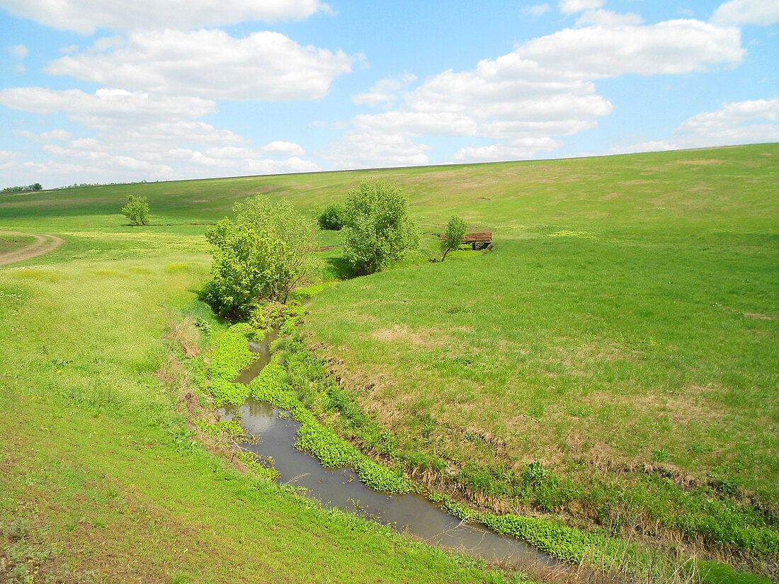 File:Răut în cursul superior (DN) 3.JPG