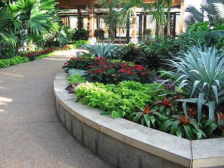 Tropical conservatory, Reiman Gardens
