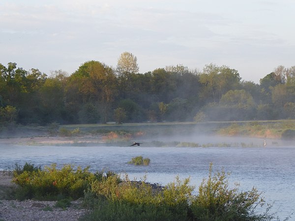 27 mai : Brume matinale dans la RNN de la Moselle Sauvage, par Musicaline.