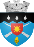 Darabani Coat of Arms