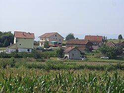 Dorf Radevac, Gemeinde Aleksinac, Serbien