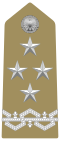 Rank insignia of generale of the Army of Italy (1973).svg