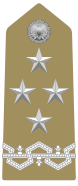 General of the Italian Army - shoulder board