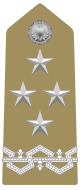 IT-Army-OF9a.svg