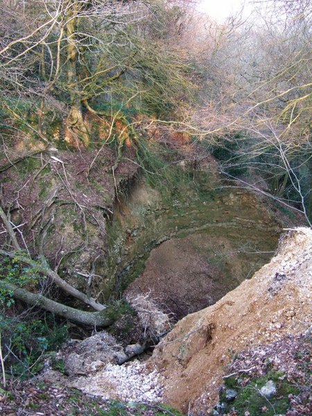 File:Ravine in Bullhall Wood - geograph.org.uk - 385885.jpg