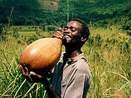 Calabaza utilizada como vasija. República Democrática del Congo.