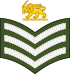 Staff Sergeant