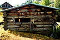 *Blacksmith and tool shop, north side of the original Catterson homestead cabin. Roof was converted by Riddles from sod to tin.