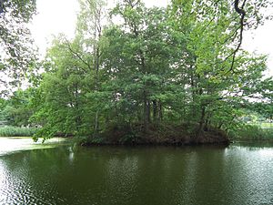 Ringethal moated castle from the east