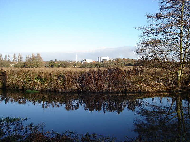 File:River Wensum Hellesdon Meadow 2.JPG