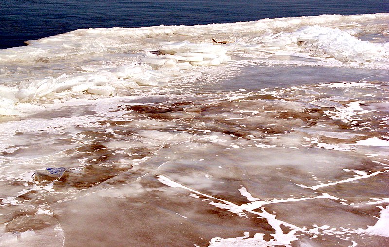 File:River ice (3328539107).jpg