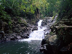 Rivière du Carbet