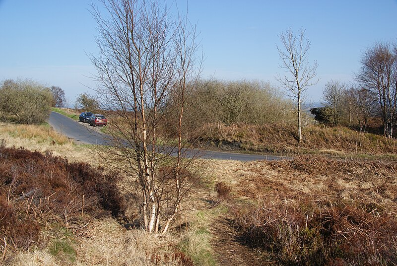 File:Road on Brimham Moor - geograph.org.uk - 3460523.jpg