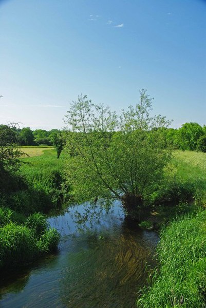 File:Roding View - geograph.org.uk - 1319989.jpg