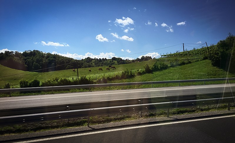 File:Rolling hills of Slovenian planes (35149047041).jpg