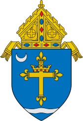 Římskokatolická arcidiecéze Saint Louis.svg