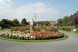 Поглед кон градина со рози во Клајн Офензет-Шпарисхоп