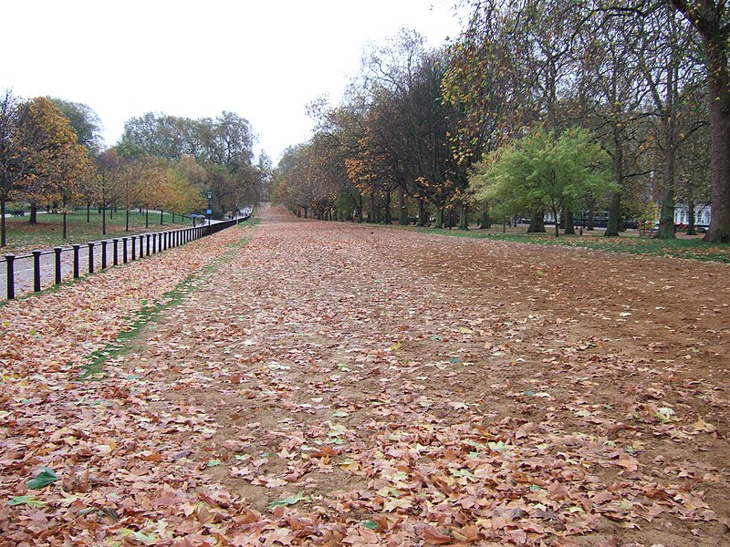 File:Rotten Row, Hyde Park, London - geograph.org.uk - 2157222.jpg