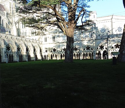 Shadows from the tree at Salisbury Cathedral