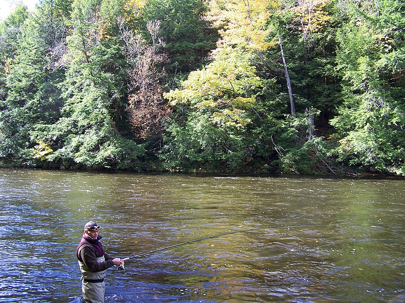 File:Salmon River fishing for trout - panoramio.jpg