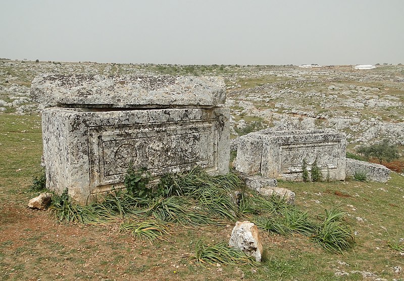 File:Sarcophagi in Serjilla.jpg