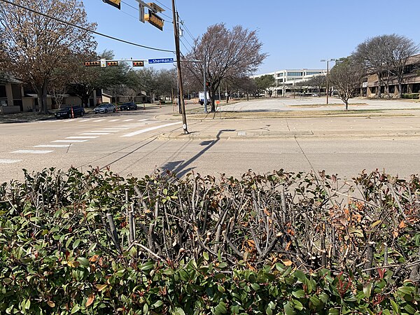 Fossil Group headquarters (in the background)