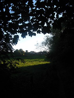 Smallbrook Meadows - geograph.org.uk - 2138700